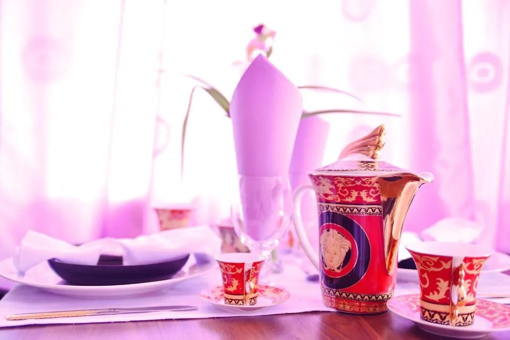 Guest house Amethyst House Therme & Bucharest Otopeni Airport