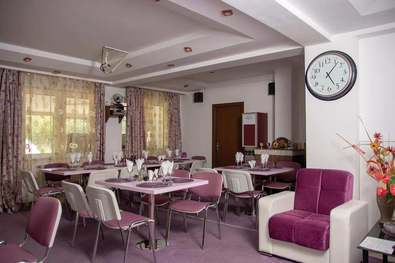 Amethyst House Therme & Bucharest Otopeni Airport Guest house