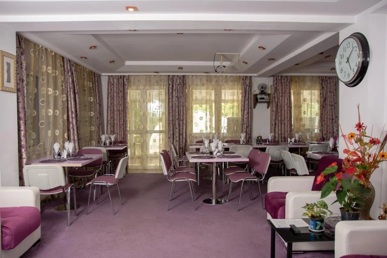 Guest house Amethyst House Therme & Bucharest Otopeni Airport
