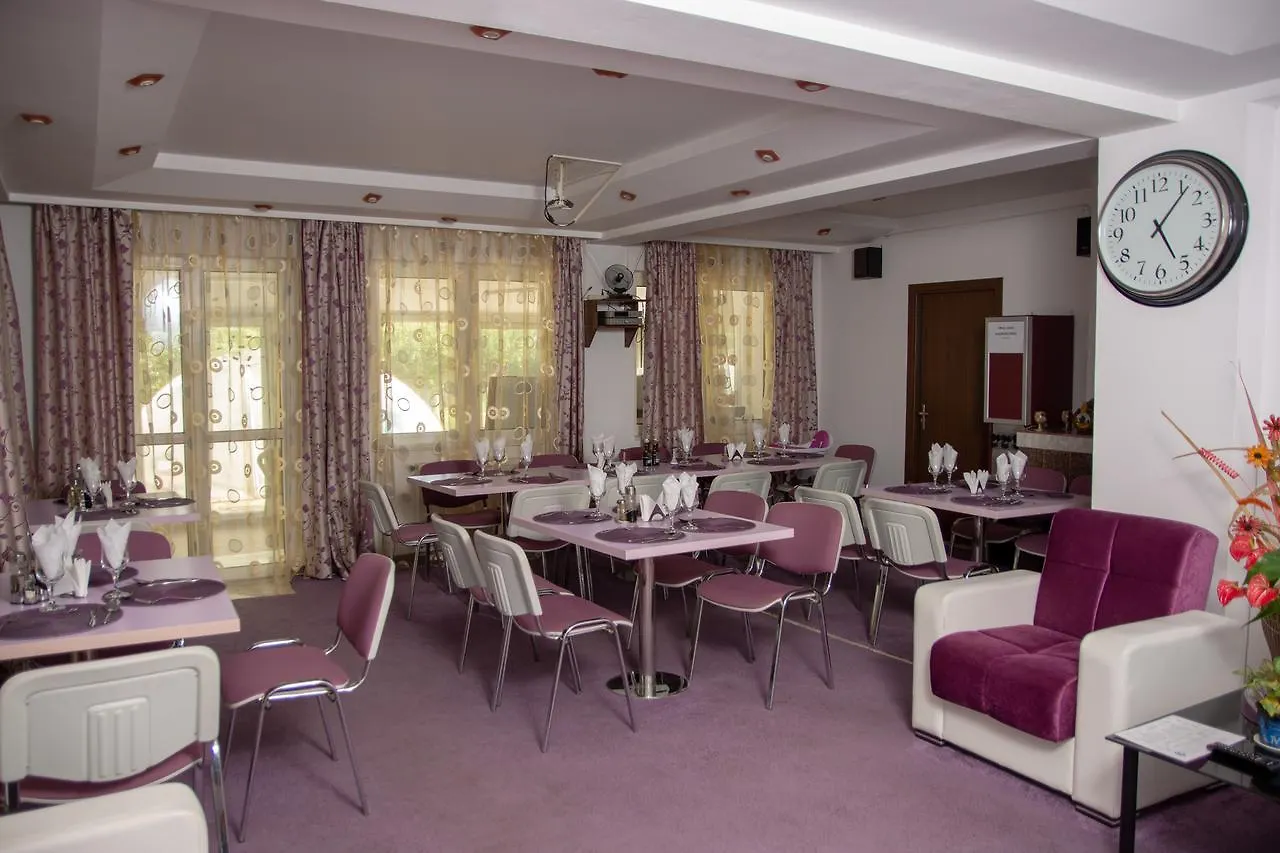 Amethyst House Therme & Bucharest Otopeni Airport Romania