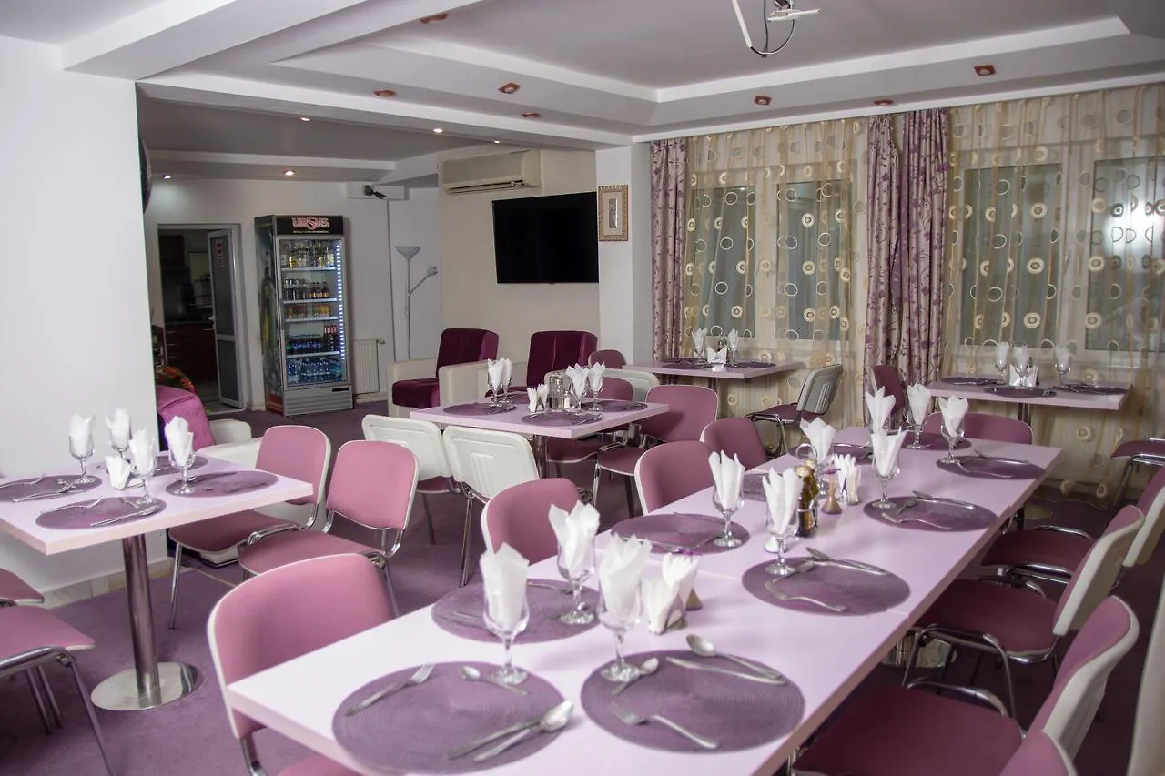 Amethyst House Therme & Bucharest Otopeni Airport Guest house