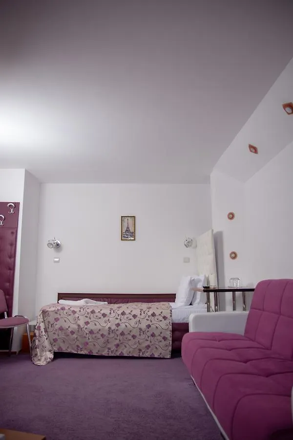 Guest house Amethyst House Therme & Bucharest Otopeni Airport