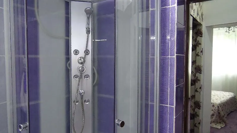 Amethyst House Therme & Bucharest Otopeni Airport Guest house